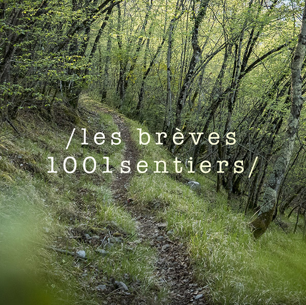 Les brèves 1001: news locales et courses exotiques Les brèves 1001: news locales et courses exotiques