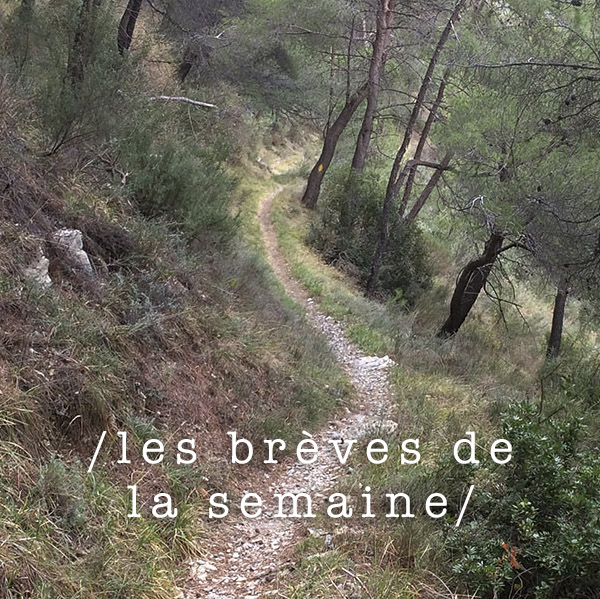 Les brèves de la semaine 2018#8 Les brèves de la semaine 2018#8