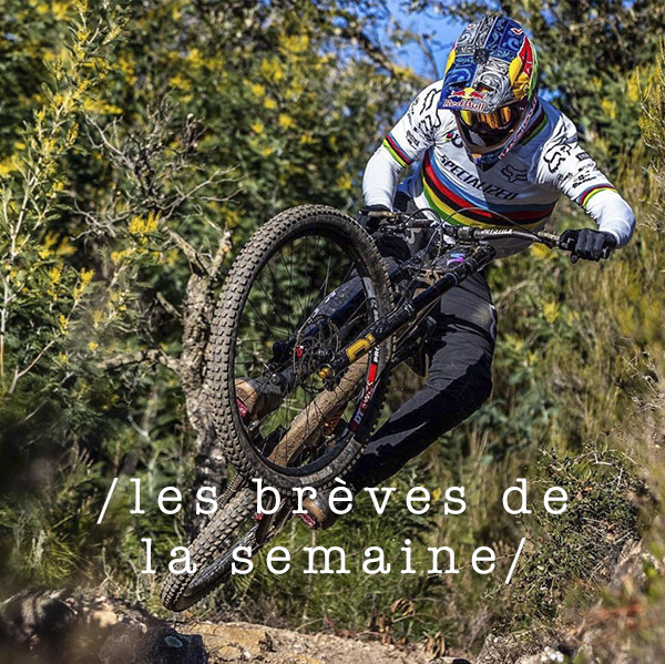 Les brèves de la semaine 2019#03 Les brèves de la semaine 2019#03