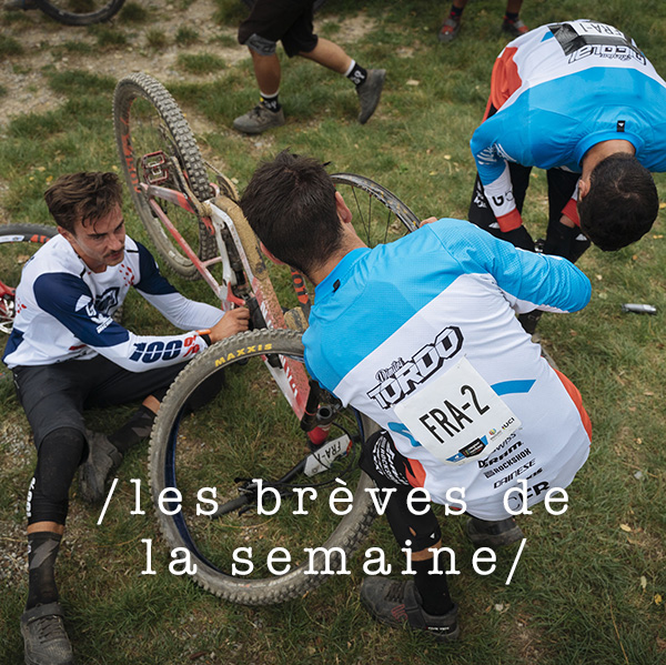 Les brèves de la semaine 2019#11 Les brèves de la semaine 2019#11