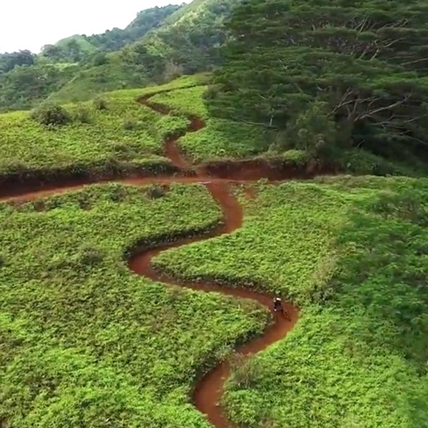 Vidéo: Bien le bonjour de Tahiti