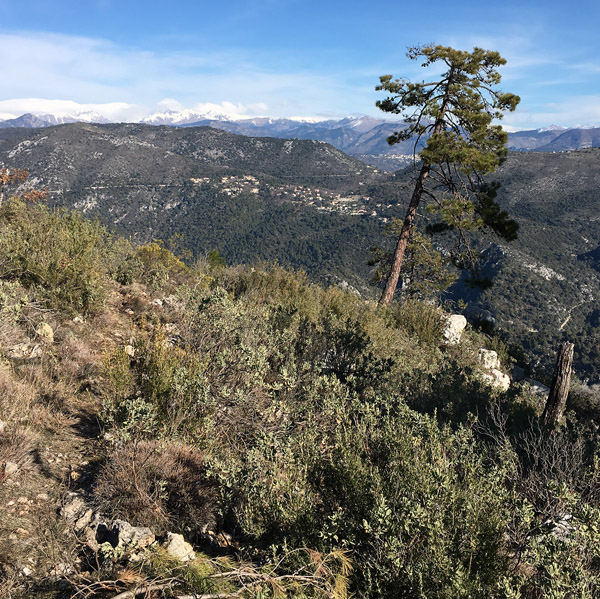 “Mercantour”: le nouveau sentier du Mt Chauve