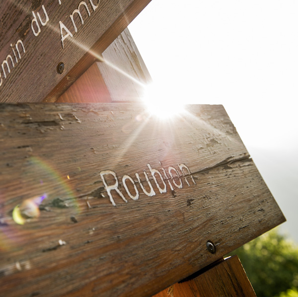 Bikepark de Roubion: ouverture le 6 mai & programme bien chargé