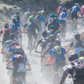 xmb levens 2017