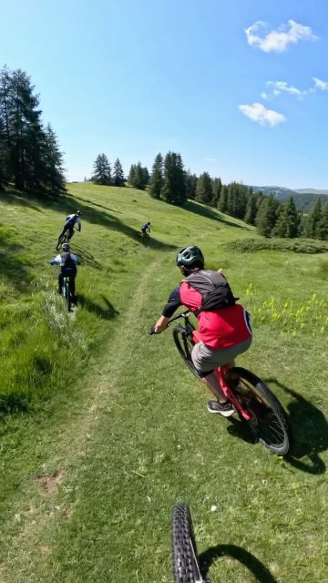R4RC X 1001

Gavage de sentiers et découverte des pépites montagnardes en mode enduro/navette pour les jeunes du @roquefort_ridersclub_r4rc… Une journée mémorable by @1001sentiers pour clore l’année en beauté !

#1001sentiers #R4RC #lifeistooshorttorideboringtrails