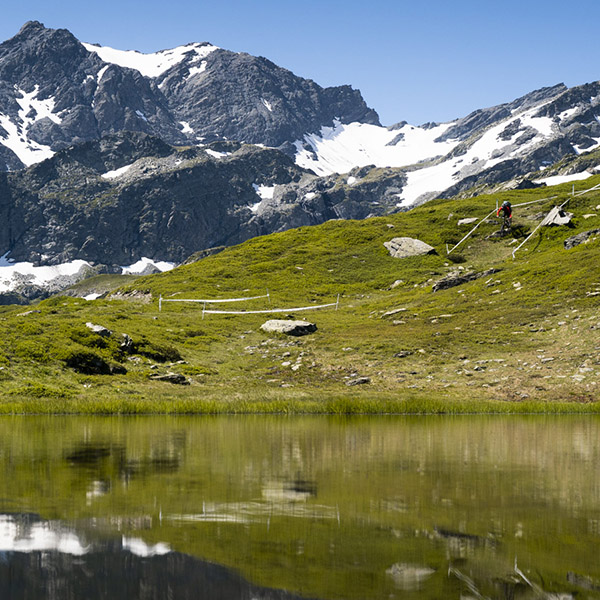 Prouesses azuréennes: EWS La Thuile 2018