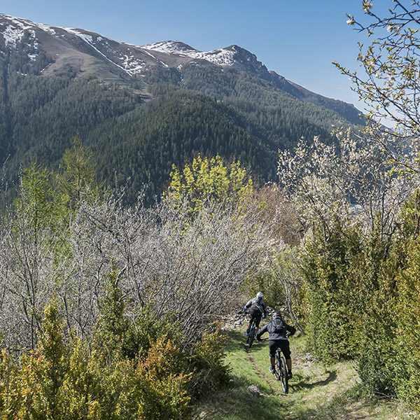 2019: le calendrier Riding est là, et il est bien rempli !