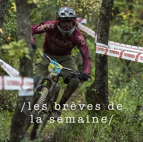 Les brèves de la semaine 2019#01 Les brèves de la semaine 2019#01