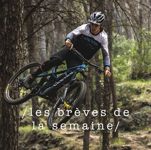 Les brèves de la semaine 2019#02 Les brèves de la semaine 2019#02