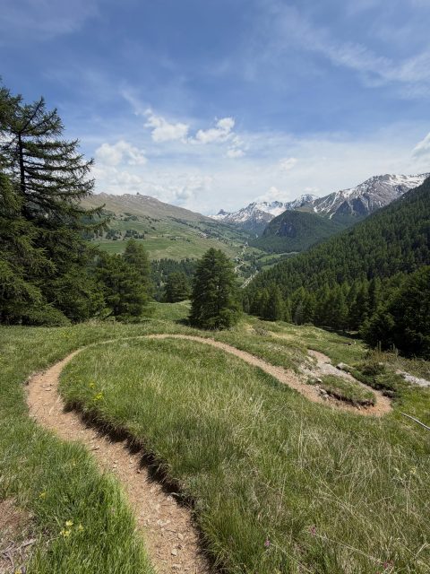 QUEYRAS BADASS!

Des montagnes XXL, des sentiers carte-postale, une sacrée bande de copains, 3 jours d’itinérance, du pur flow, des crampes, des rires, des bières et des souvenirs gravés à jamais… Merci le Queyras, merci les gars !

#1001sentiers #somuchmorethanbiking