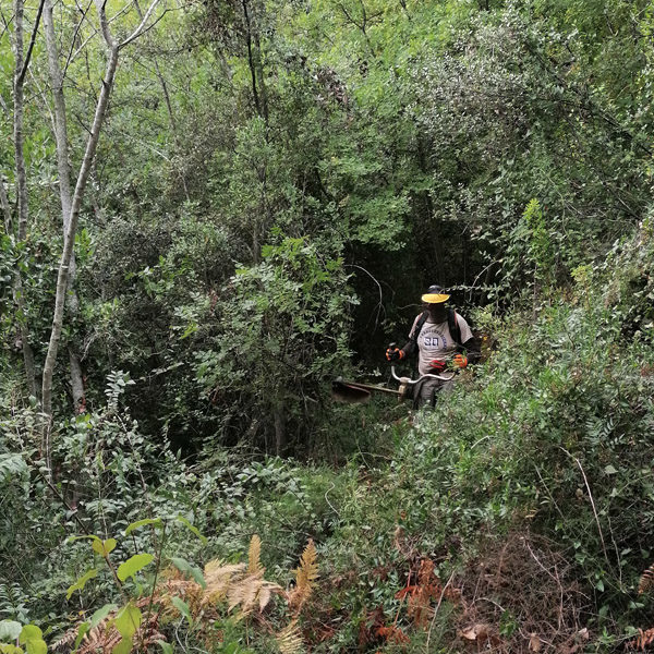 Nice Enduro Defi: parcours inédit et créa de sentiers Nice Enduro Defi: parcours inédit et créa de sentiers