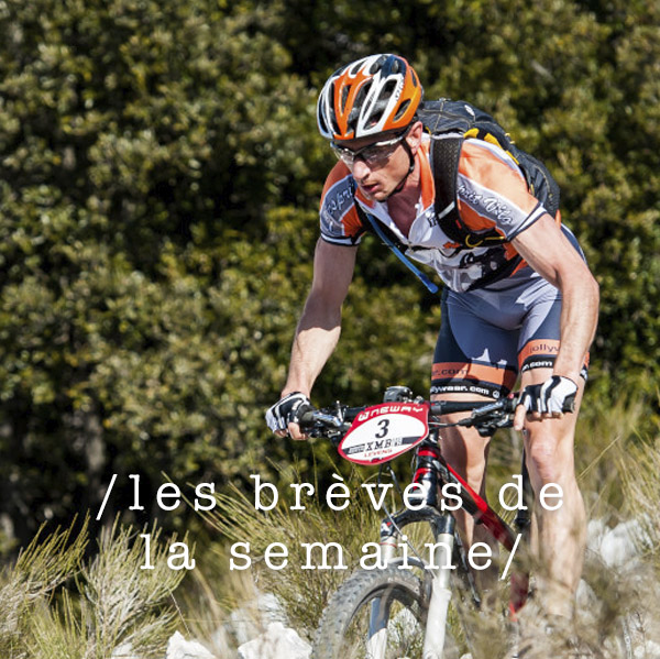 Les brèves de la semaine 2019#13 Les brèves de la semaine 2019#13