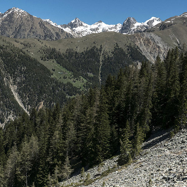 Juillet: Aventure(s) Alpine(s) mémorable(s) en Vésubie Juillet: Aventure(s) Alpine(s) mémorable(s) en Vésubie