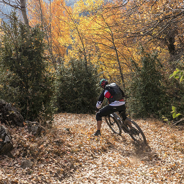Riding: l’automne arrive avec son lot de plaisirs Riding: l’automne arrive avec son lot de plaisirs
