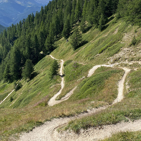 Riding : Nouveautés à gogo & Programme 2024